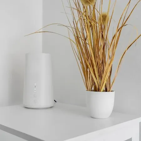 Gruenes Wohnen In Dueren Apartman Düren - Eifel