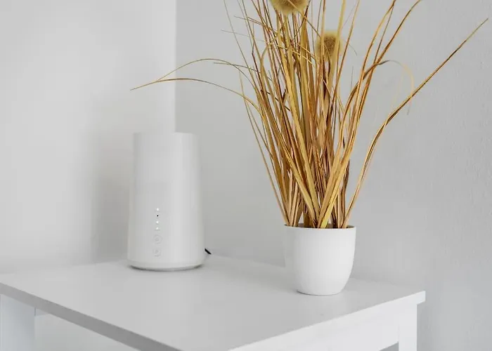 Gruenes Wohnen In Dueren Appartement Düren - Eifel